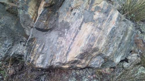 Гигантские зелёные валуны для ландшафтного дизайна весом более 5 тонн купить в Нязепетровске