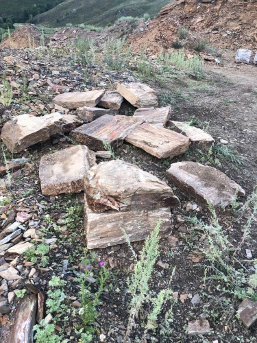 Плитняк кора дерева 50-100мм для пошаговых дорожек купить в Нязепетровске